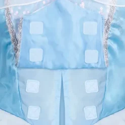 Best * Cinderella Adaptive Costume For Adults